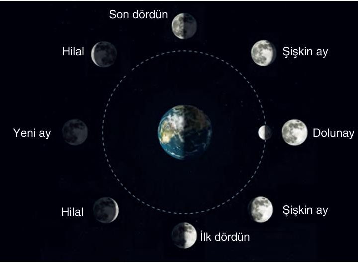 Ay’ın Hareketleri ve Evreleri
