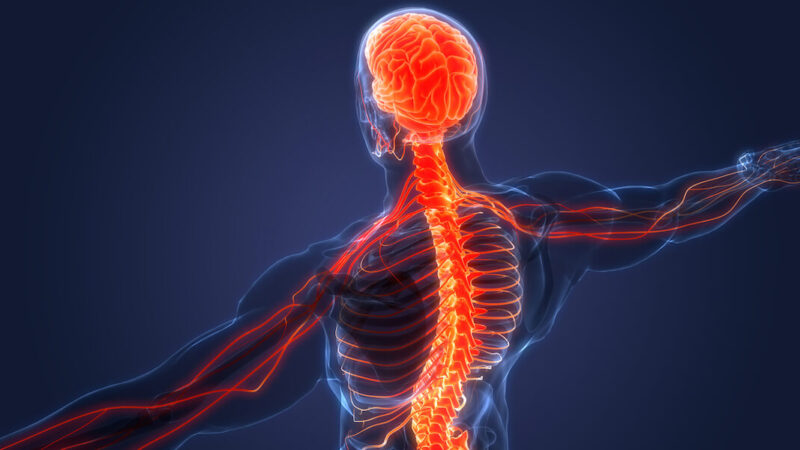 Denetleyici ve Düzenleyici Sistemler